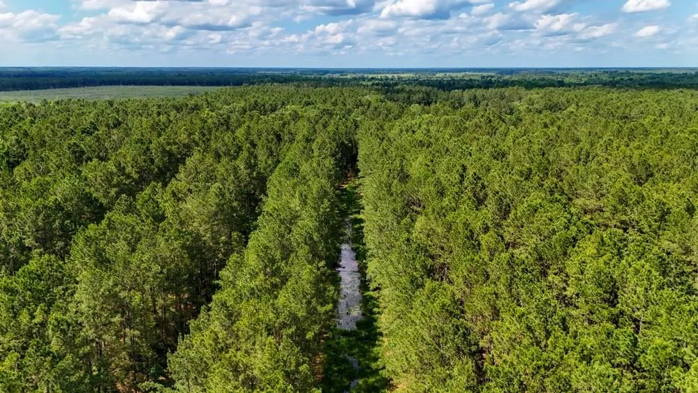 Private Rd 5170 Kirbyville, TX 75956
