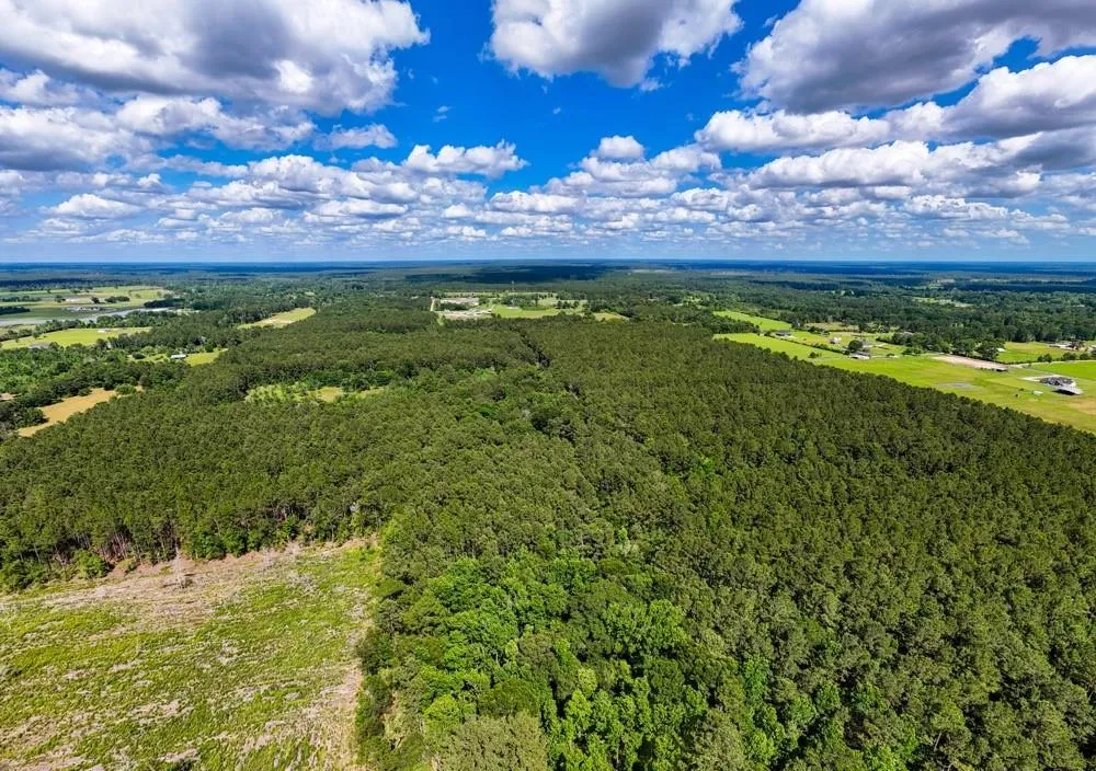 Private Rd 5170 Kirbyville, TX 75956