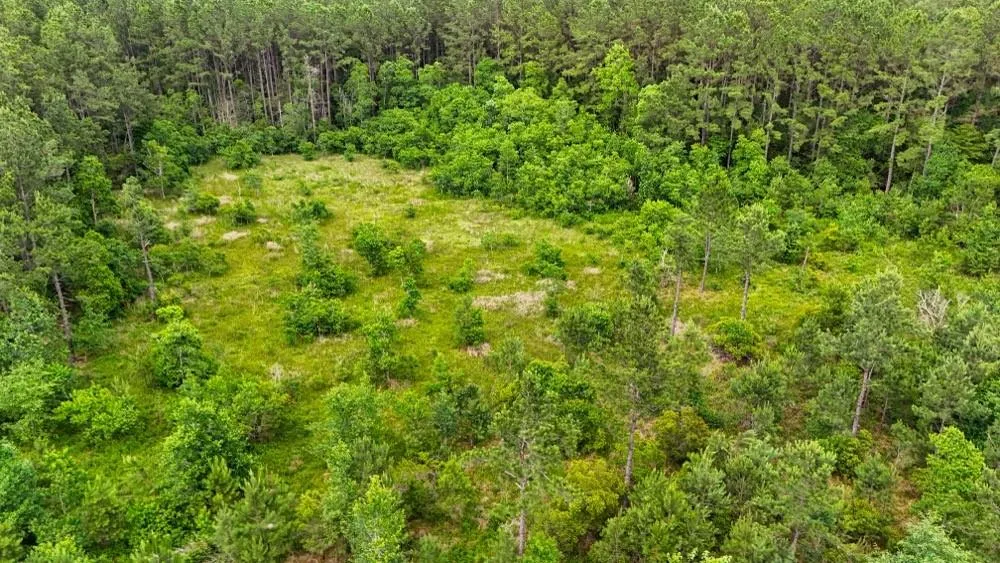 Private Rd 5170 Kirbyville, TX 75956
