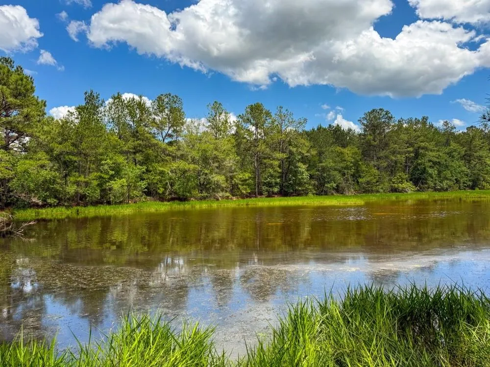Private Rd 5170 Kirbyville, TX 75956