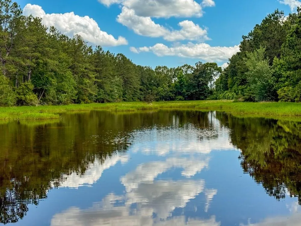 Private Rd 5170 Kirbyville, TX 75956