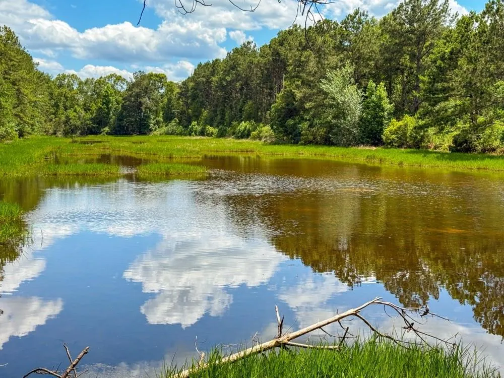 Private Rd 5170 Kirbyville, TX 75956