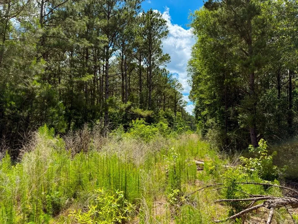 Private Rd 5170 Kirbyville, TX 75956