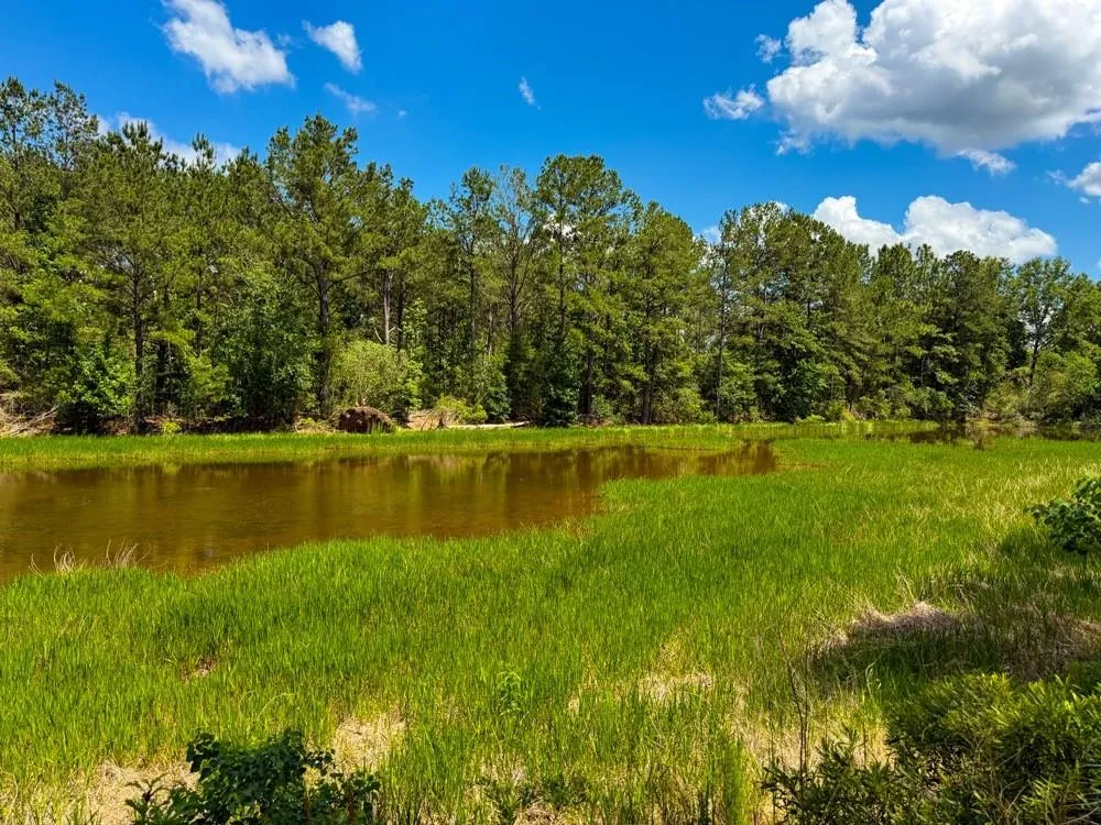 Private Rd 5170 Kirbyville, TX 75956