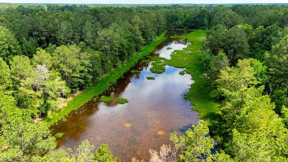 Private Rd 5170 Kirbyville, TX 75956