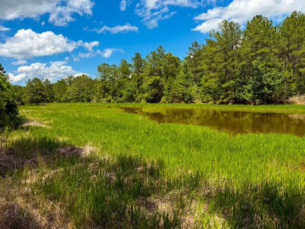 Private Rd 5170 Kirbyville, TX 75956