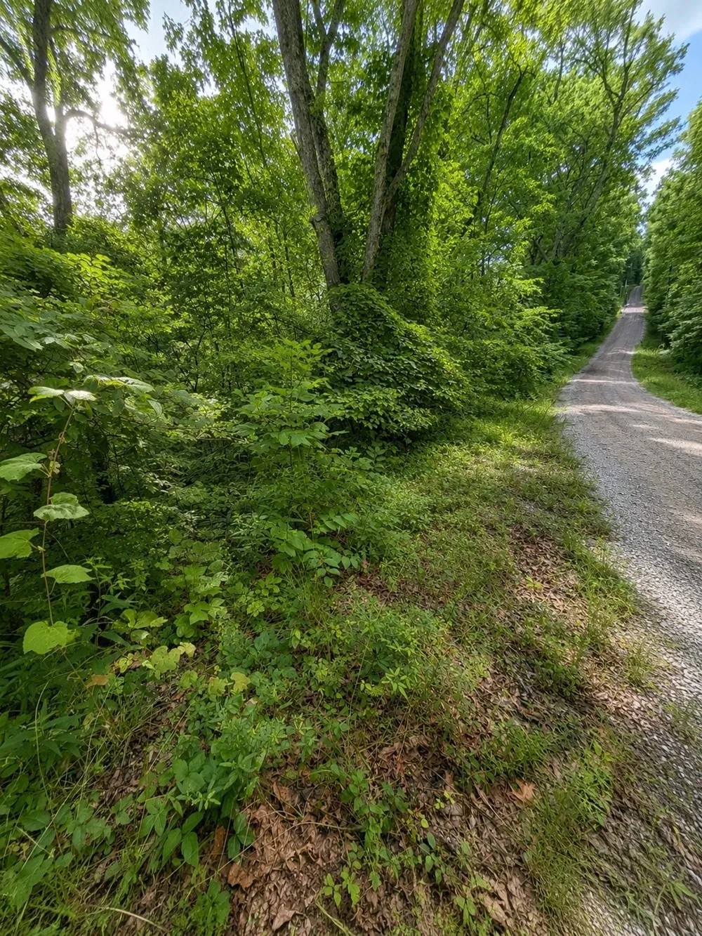 0 Skyline Dr Smithville, TN 37166