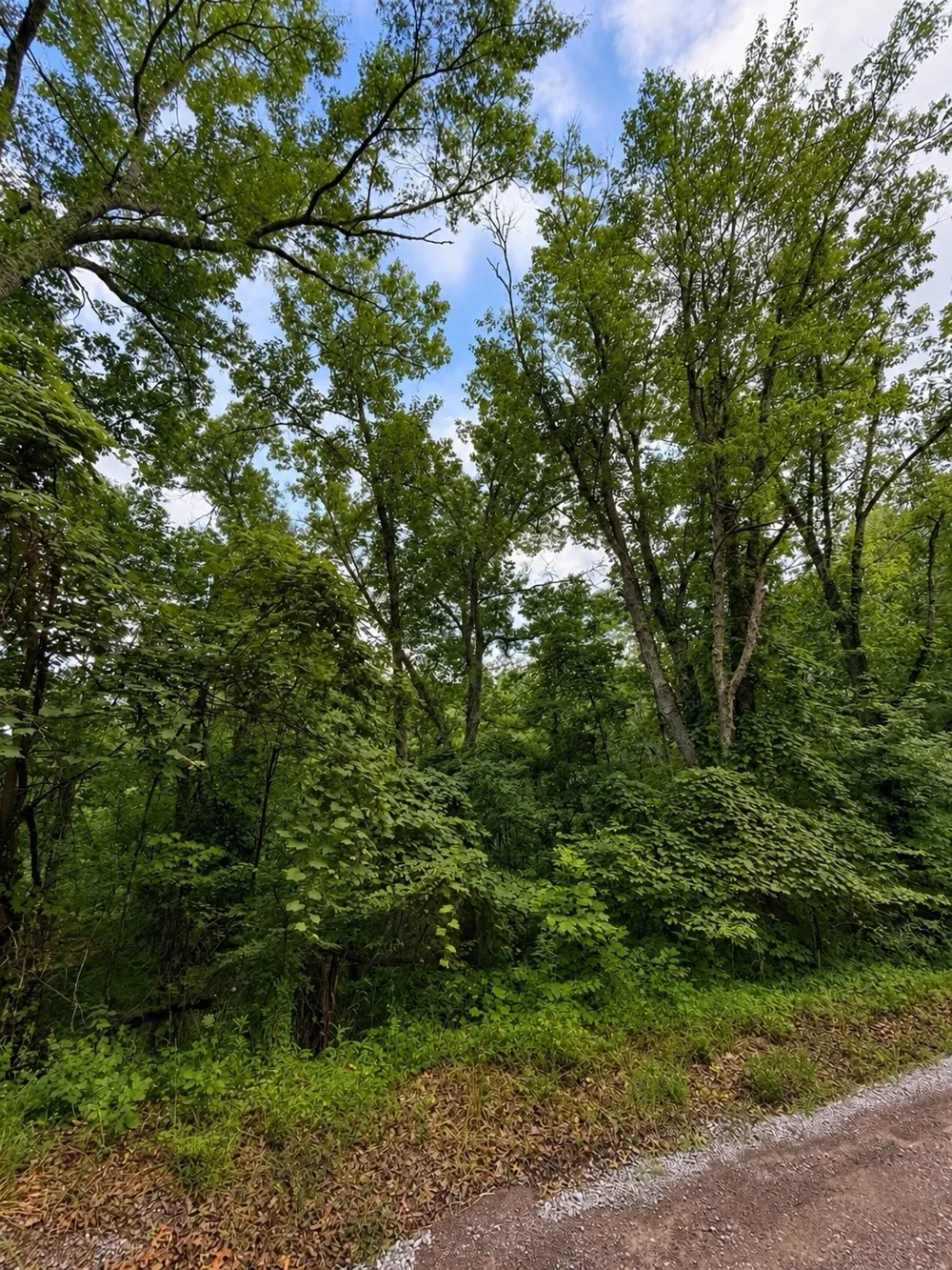 0 Skyline Dr Smithville, TN 37166