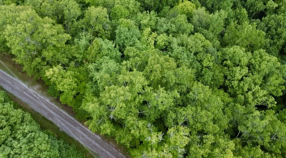 0 Skyline Dr Smithville, TN 37166