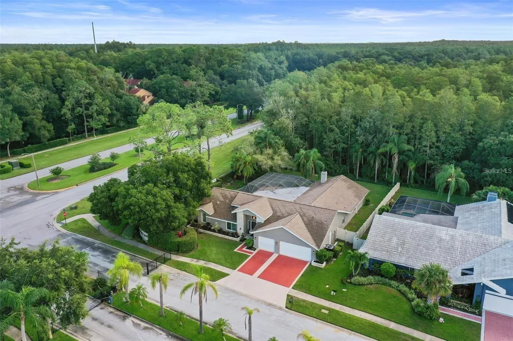 3297 VALEMOOR DRIVE Palm Harbor, FL 34685