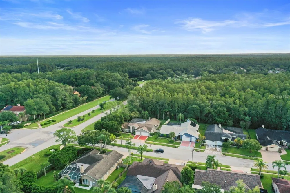 3297 VALEMOOR DRIVE Palm Harbor, FL 34685