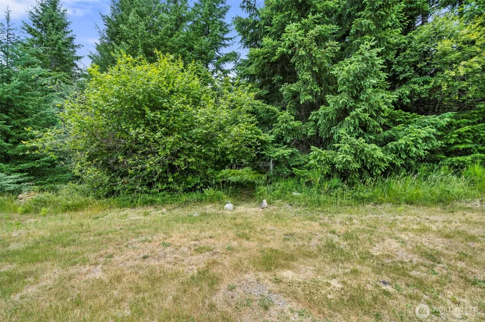 128 Riverdance Lane Packwood, WA 98361