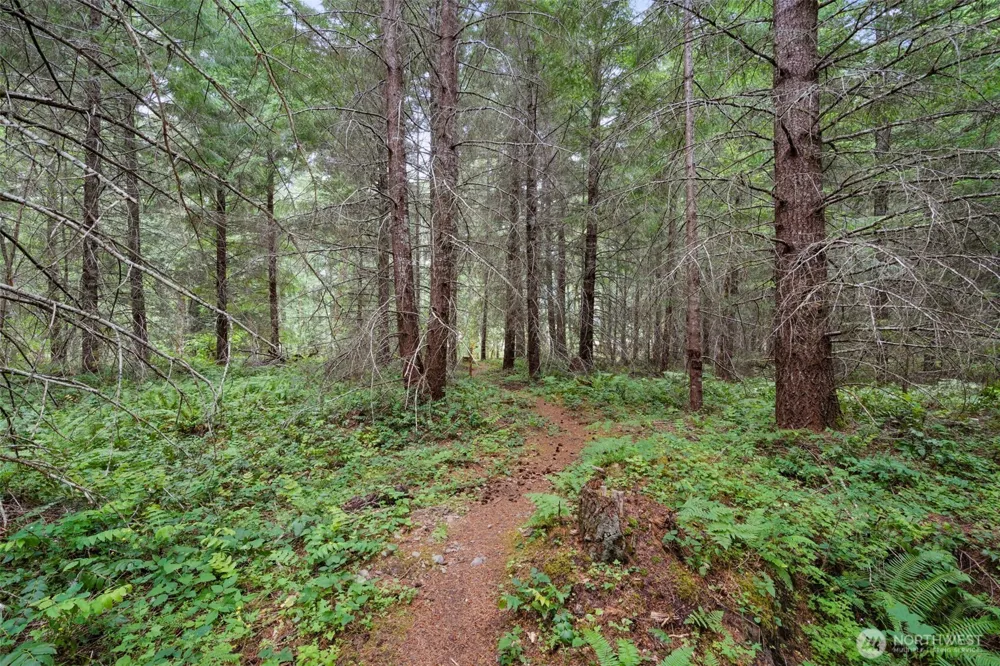128 Riverdance Lane Packwood, WA 98361