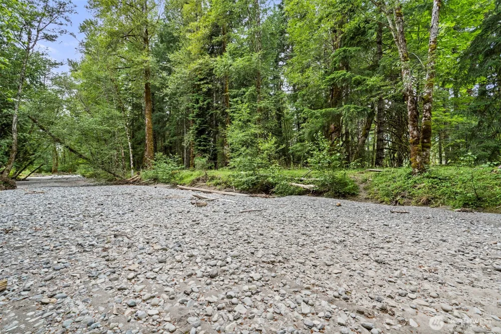 128 Riverdance Lane Packwood, WA 98361