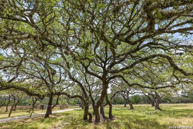 271 & 173 BIG CREEK RD Blanco, TX 78606