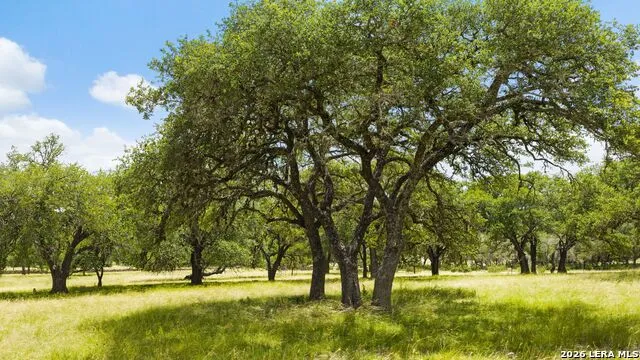 271 & 173 BIG CREEK RD Blanco, TX 78606