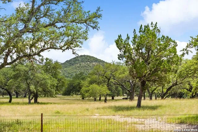 271 & 173 BIG CREEK RD Blanco, TX 78606