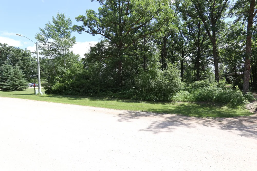 752 Lenmark Lane Badger, MN 56714