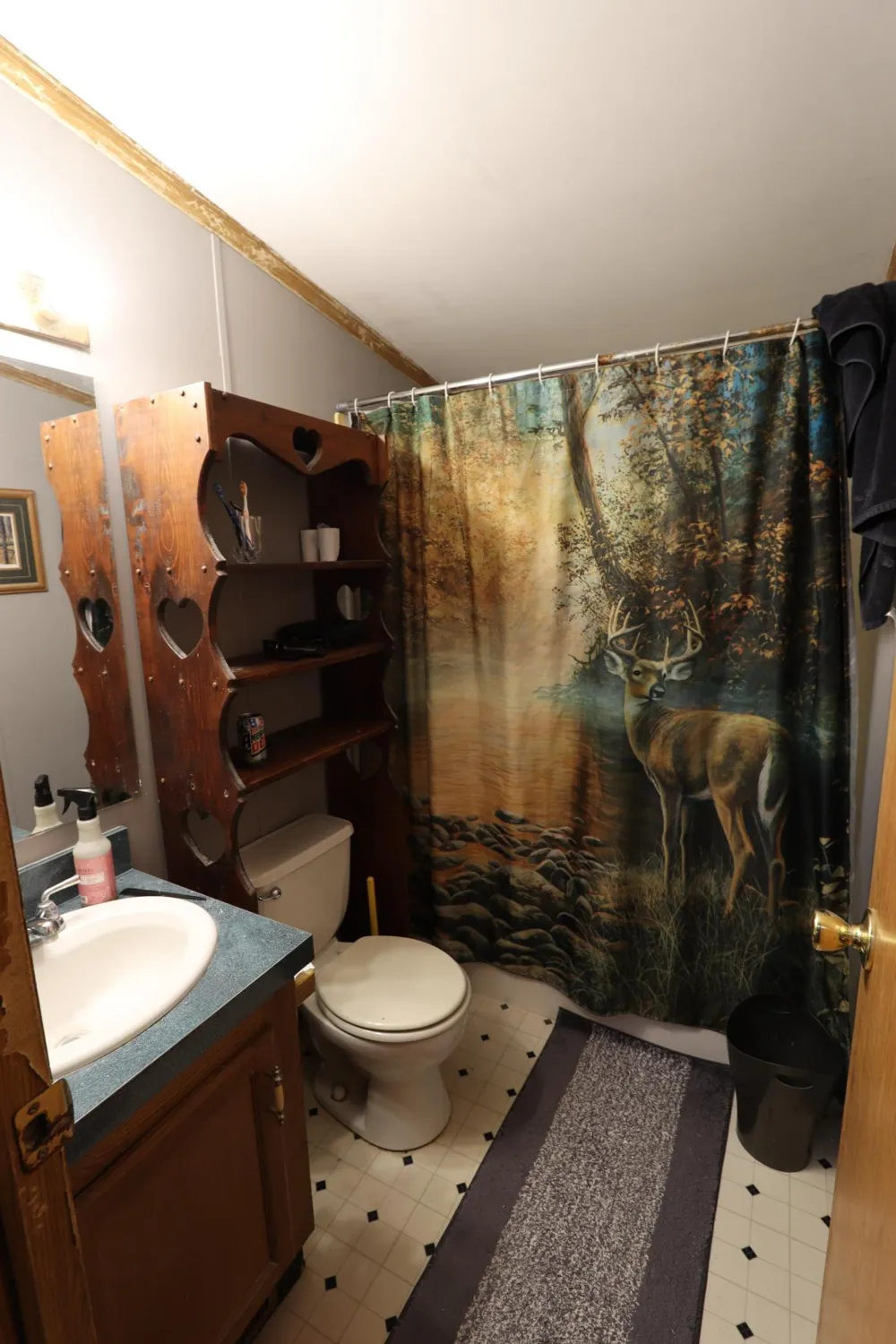 752 Lenmark Lane Badger, MN 56714