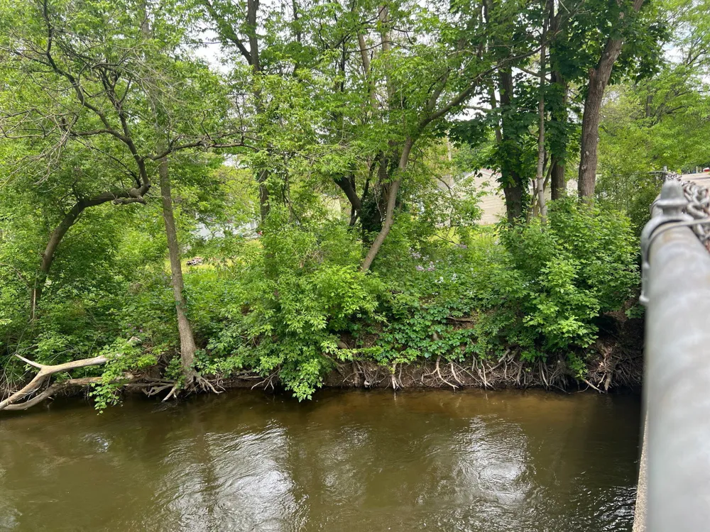 320 Morrell Street Plainwell, MI 49080