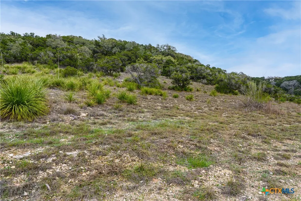 11200 Fm 306 New Braunfels, TX 78132