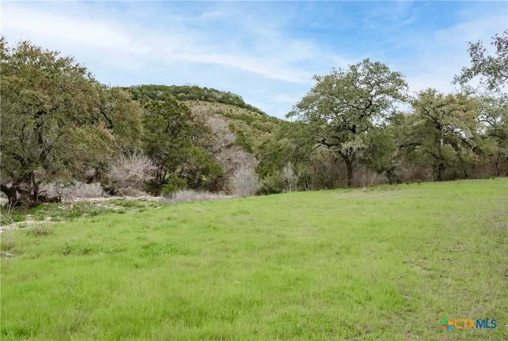 11200 Fm 306 New Braunfels, TX 78132