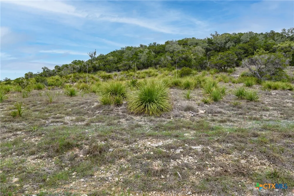 11200 Fm 306 New Braunfels, TX 78132