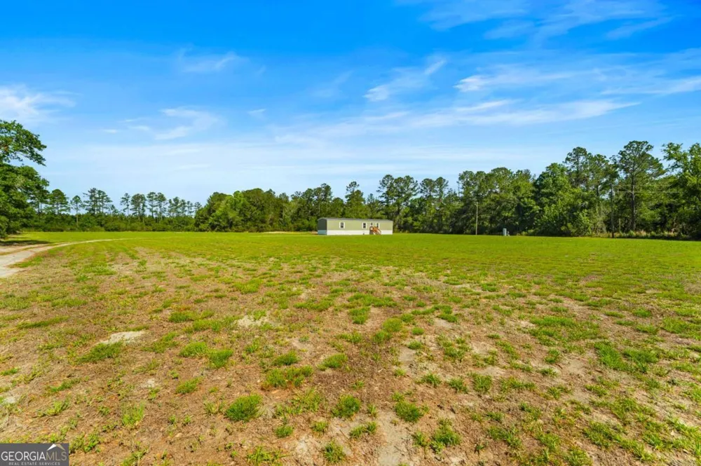 3383 Mill Branch Club RD Pembroke, GA 31321