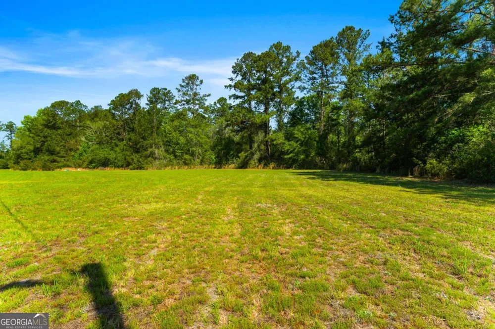 3383 Mill Branch Club RD Pembroke, GA 31321