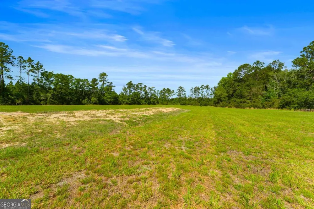 3383 Mill Branch Club RD Pembroke, GA 31321
