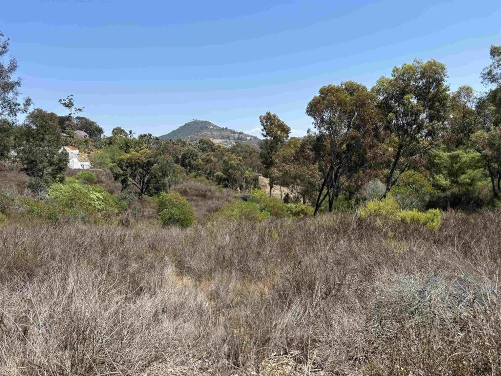 Lone Hill Lane Encinitas, CA 92024