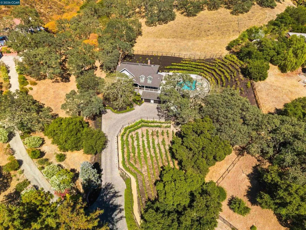 330 Twin Peaks Ln Alamo, CA 94507