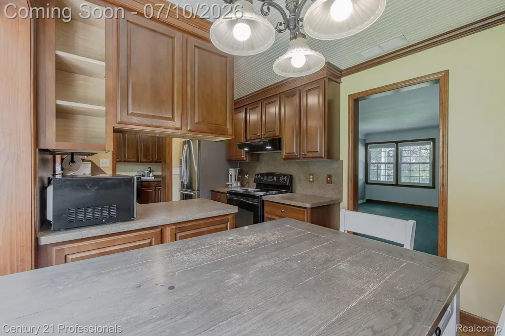 1790 Kent Road Brandon Charter Township, MI 48462