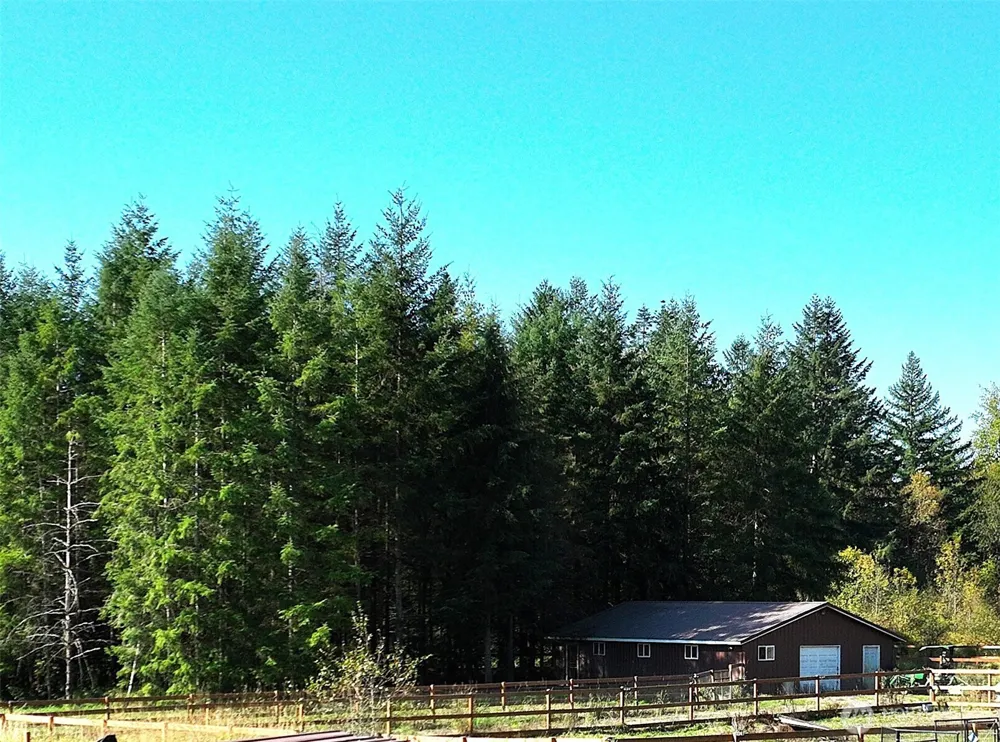 205 Stub Road Onalaska, WA 98570