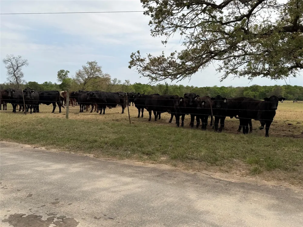 3713 Cr 386 Marquez, TX 77865