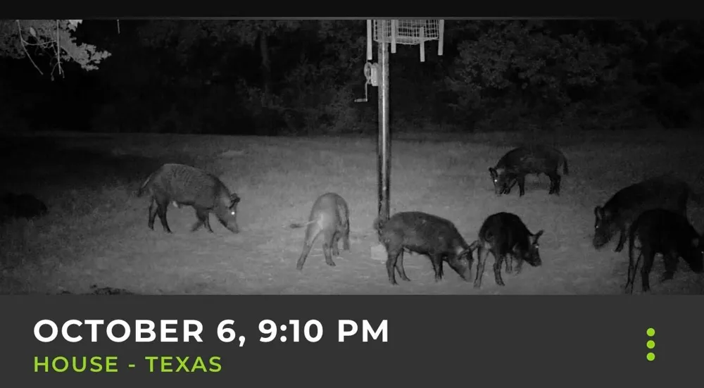 3713 Cr 386 Marquez, TX 77865