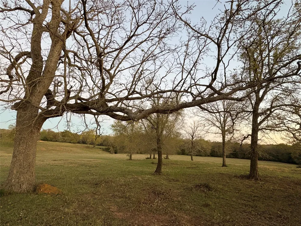 3713 Cr 386 Marquez, TX 77865