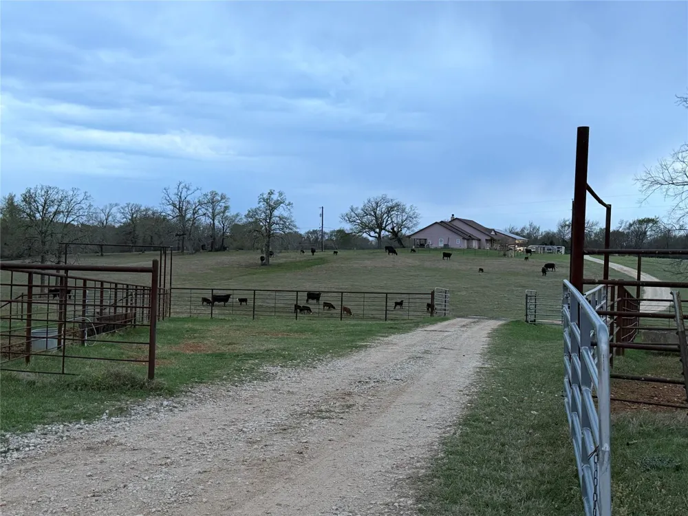 3713 Cr 386 Marquez, TX 77865