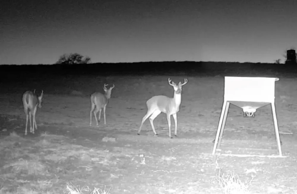 3713 Cr 386 Marquez, TX 77865