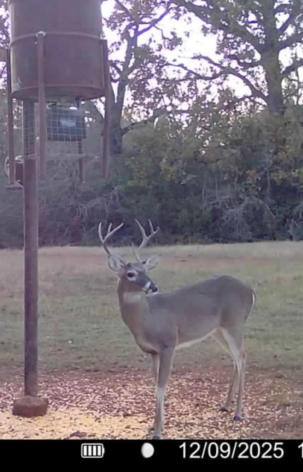 3713 Cr 386 Marquez, TX 77865