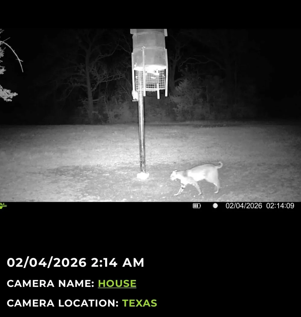 3713 Cr 386 Marquez, TX 77865