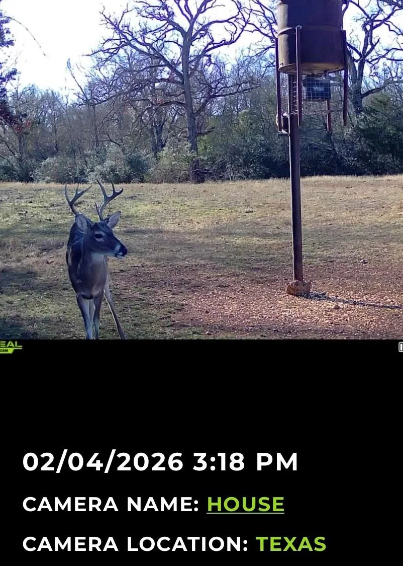 3713 Cr 386 Marquez, TX 77865