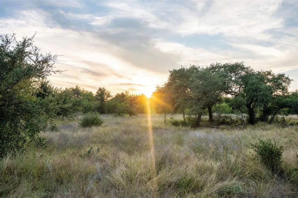 7275 Creek Road Dripping Springs, TX 78620