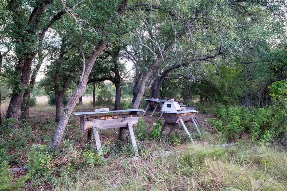 7275 Creek Road Dripping Springs, TX 78620