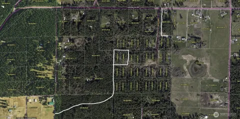 0 933600901