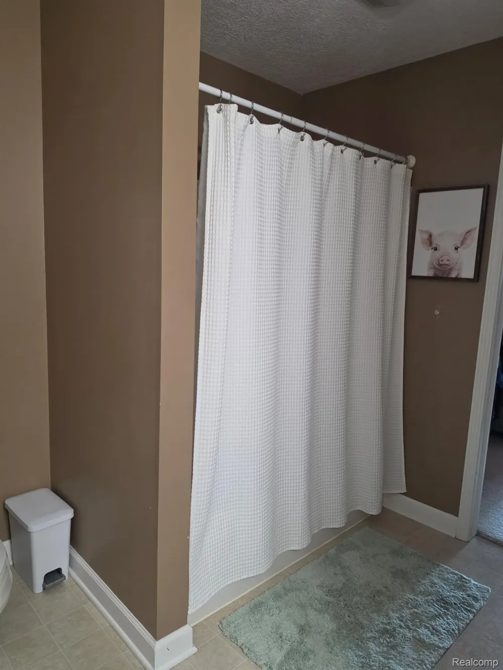 16118 Jeff Court Watertown Charter Township, MI 48837