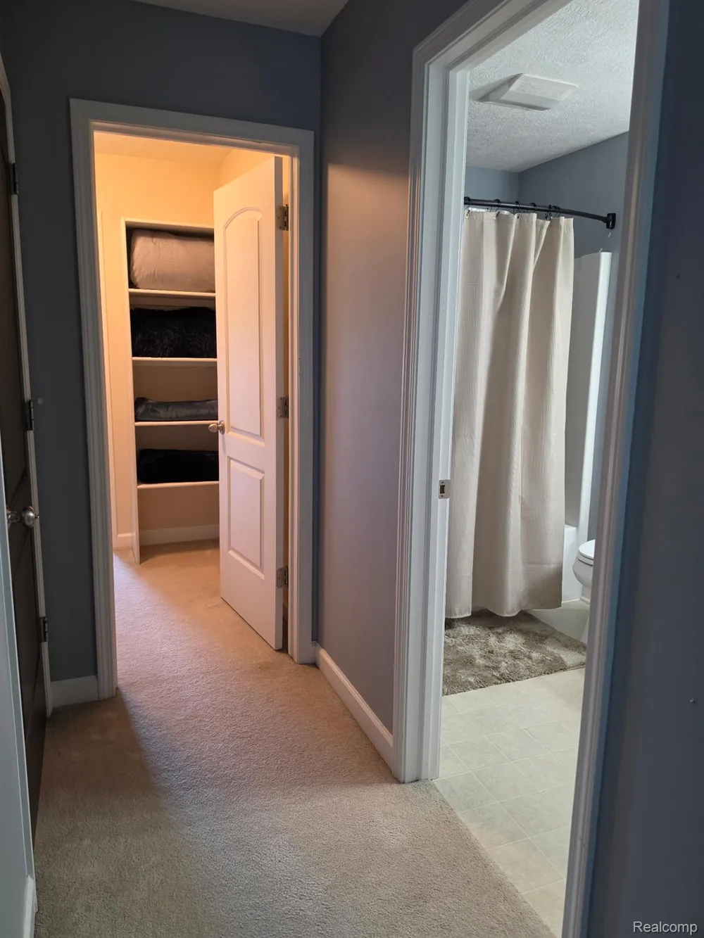 16118 Jeff Court Watertown Charter Township, MI 48837