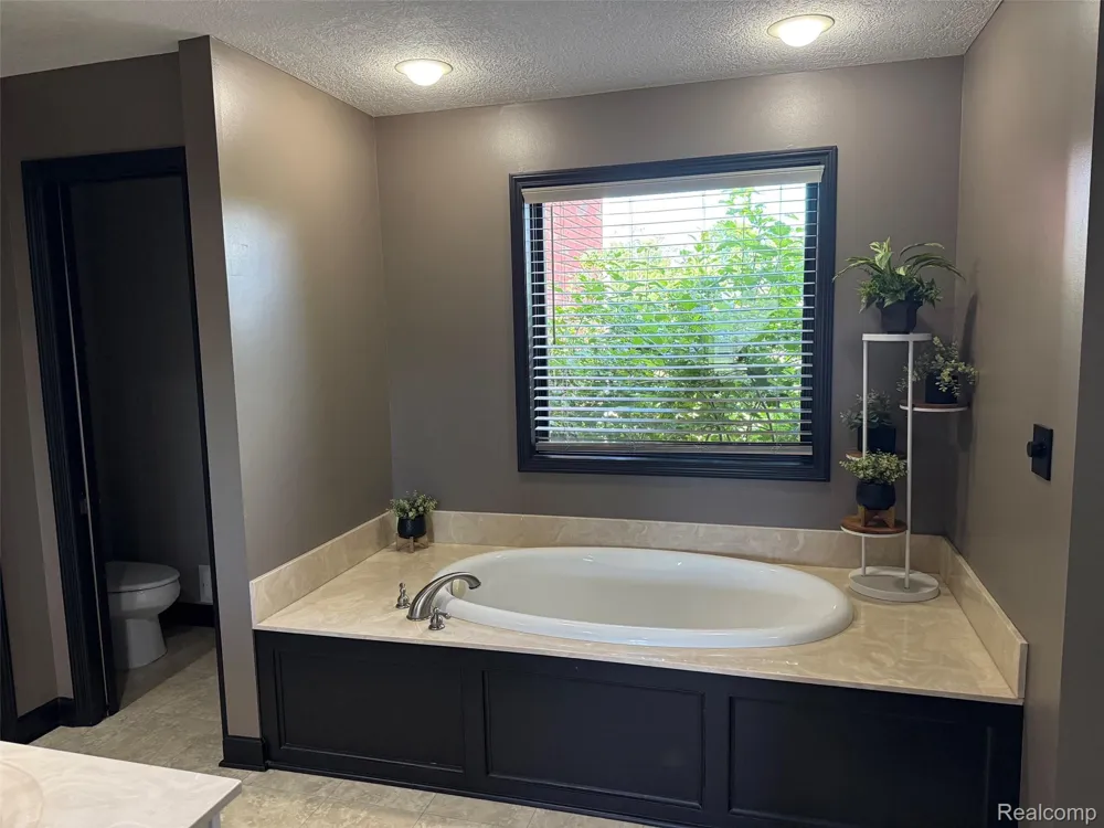 16118 Jeff Court Watertown Charter Township, MI 48837