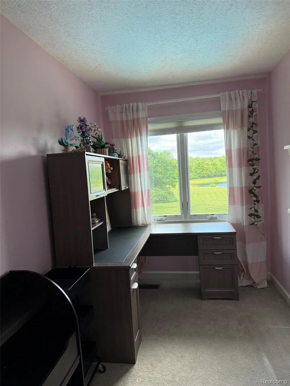 16118 Jeff Court Watertown Charter Township, MI 48837