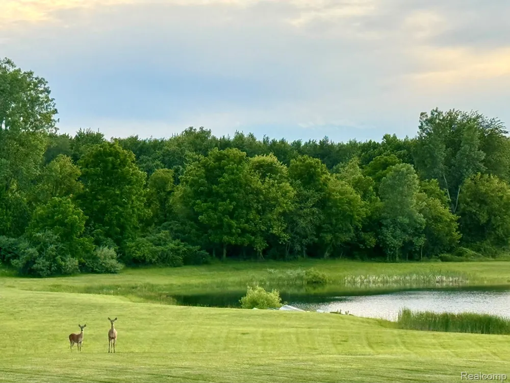 16118 Jeff Court Watertown Charter Township, MI 48837